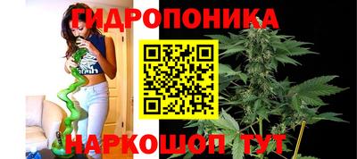 прущие крисы Мариинск