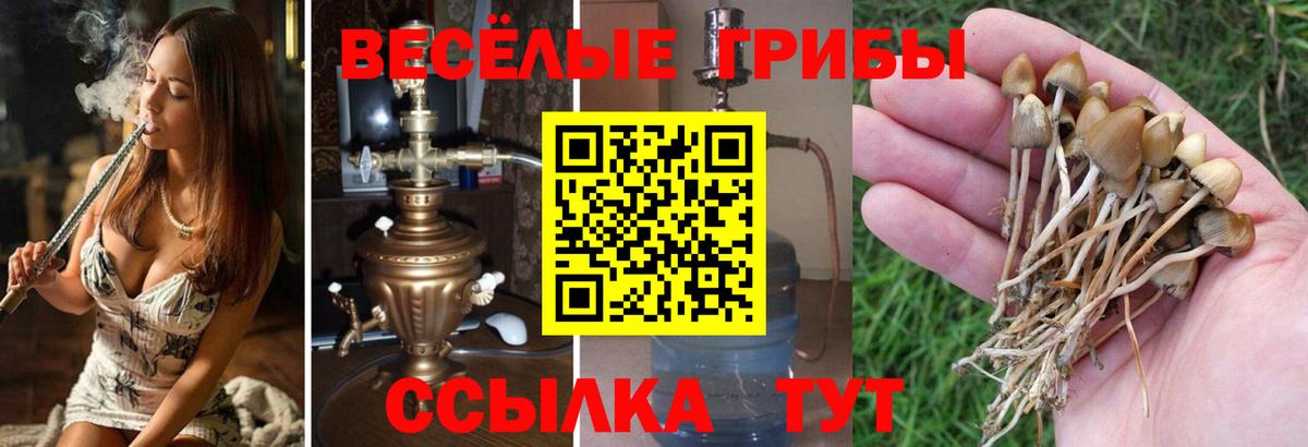 Псилоцибиновые грибы мухоморы  Вход с VPN  Псилоцибиновые грибы мухоморы  Бузулук 